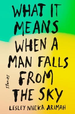 picture-of-what-it-means-when-a-man-falls-from-the-sky-book-photo.jpg