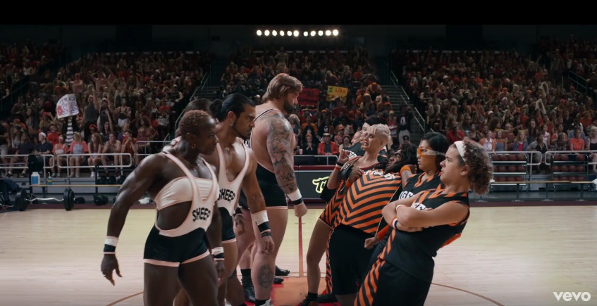 katy-perry-swish-swish-tiger-video.jpg