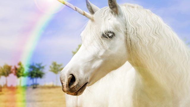 unicorn cyst