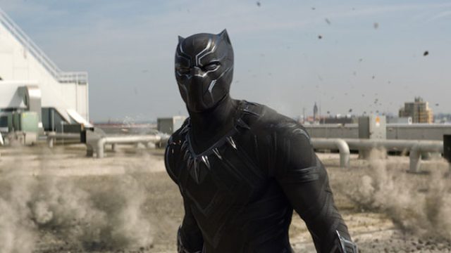 Picture of Black Panther Movie