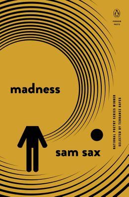 picture-of-madness-book-photo.jpg