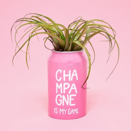 bando-hello_happy_plants-champagne_is_my_game_can-pink-e1504106691302.jpg