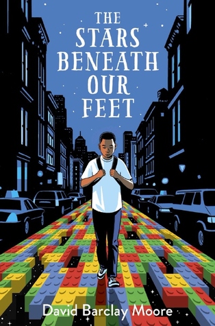 picture-of-the-stars-beneath-our-feet-book-photo.jpg