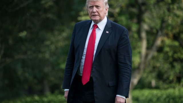 Picture of Donald Trump Face