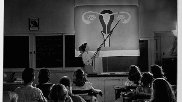 Teacher Explaining Female Reproductive System