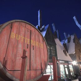 Wizarding World of Harry Potter Attraction Opening -- Pictured: (l-r) attend the opening of the 'Wizarding World of Harry Potter' at Universal Studios Hollywood on April 5, 2016.