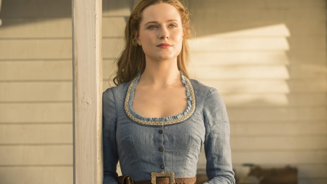 Picture of Evan Rachel Wood Westworld