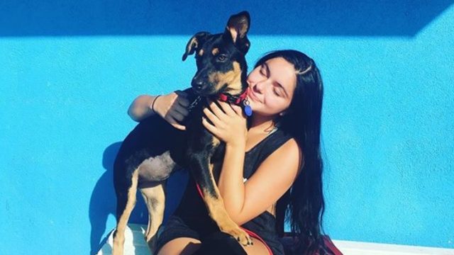 ariel-winter-dogs