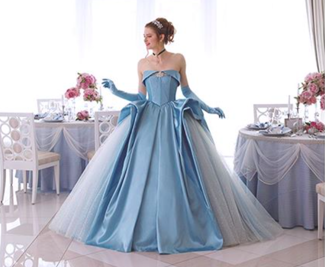 Princess shop gowns disney