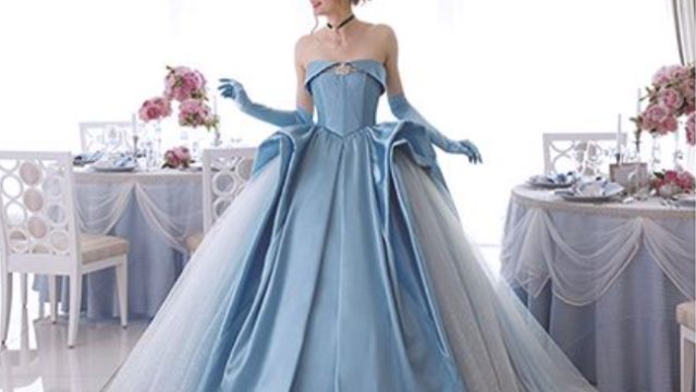 Disney Princess Gown