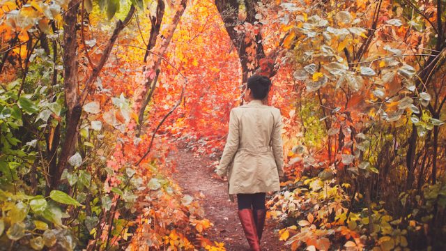 Woman walking through forest in autumn.