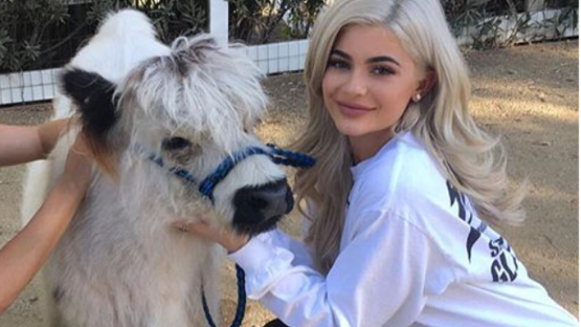 Kylie Jenner pregnant farm
