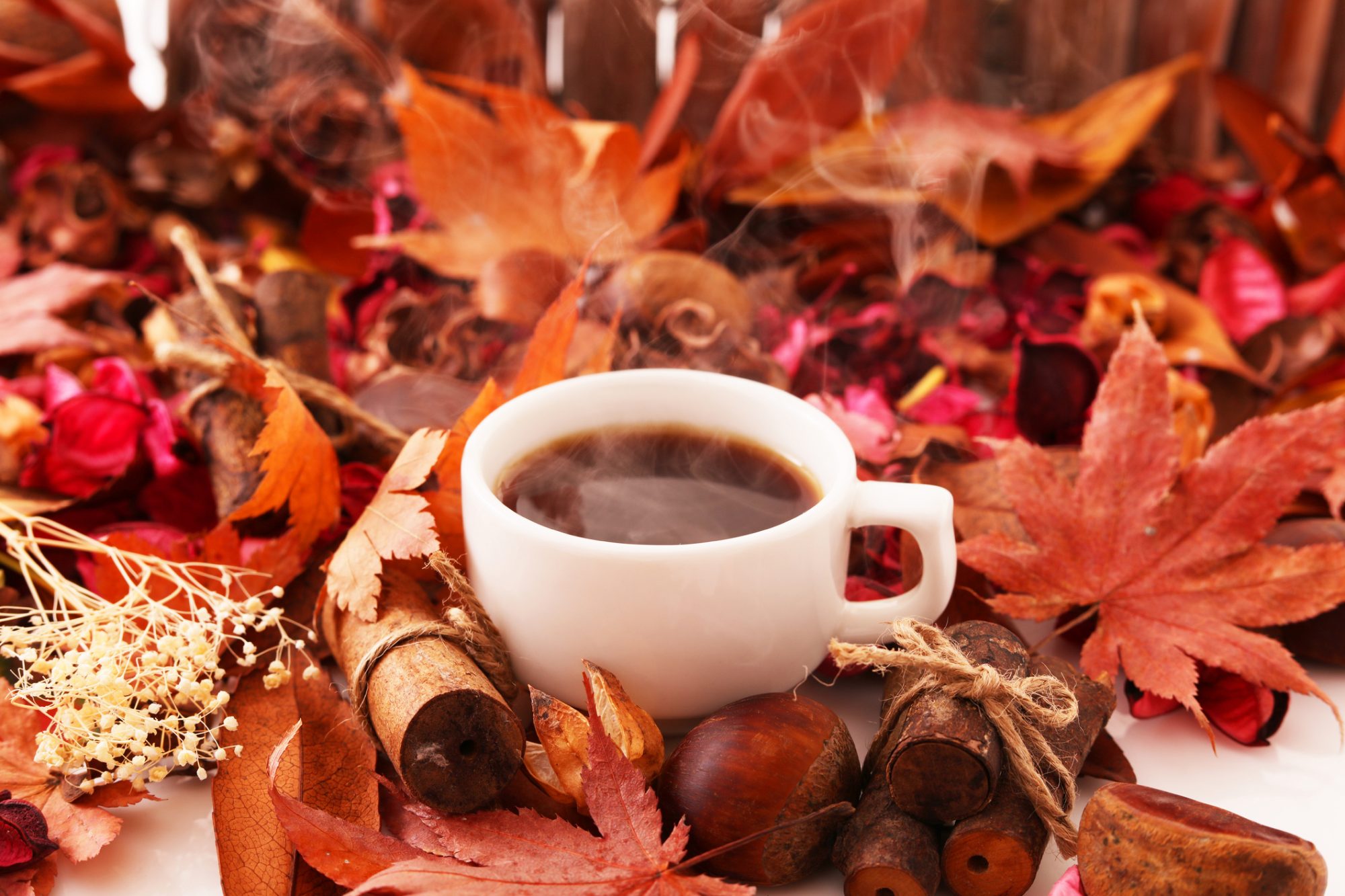 National Coffee Day: Fall coffee drinks you can make at homeHelloGiggles