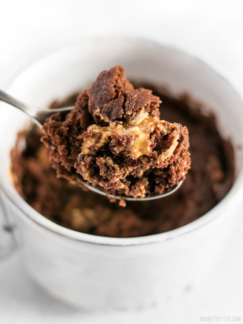 The-One-Chocolate-Mug-Cake.jpg