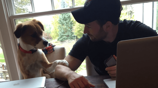 chris evans