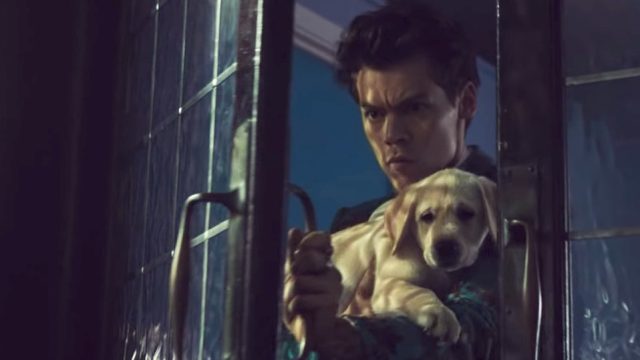 Harry Styles "Kiwi" music video