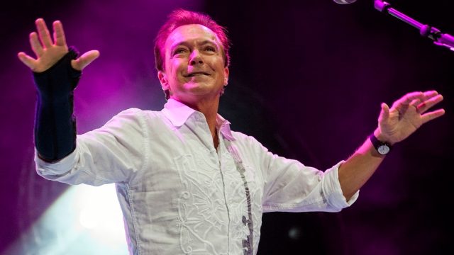 david-cassidy