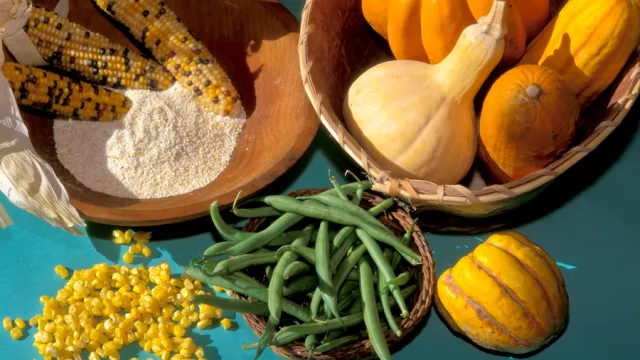 Early Woodland Indians grew corn, beans and squash that were also known as the Three Sisters. These grown vegetables were well stored throughout the winter months allowing the Shawnee plenty of food throughout the year.