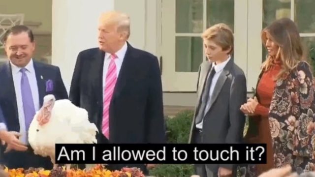 trump2