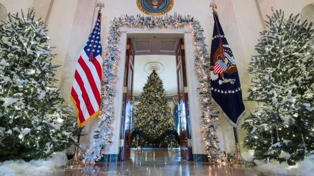 Christmas trees are seen during a preview of holiday decorations in the Grand Foyer of the White House in Washington, DC, November 27, 2017. / AFP PHOTO / SAUL LOEB (Photo credit should read SAUL LOEB/AFP/Getty Images)