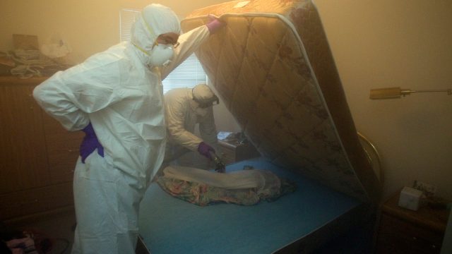 January 10, 2011 Christian Cadieux (R), owner of Bed Bugs Bite , and employee Jeff Lake deodorizes a matress as part of their process to get rid of bedbugs.