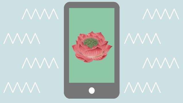 meditation app
