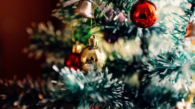 artificial-christmas-tree-versus-real-christmas-tree
