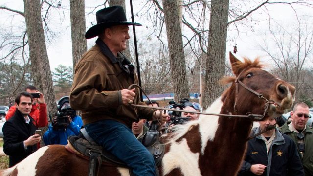 Roy Moore horse
