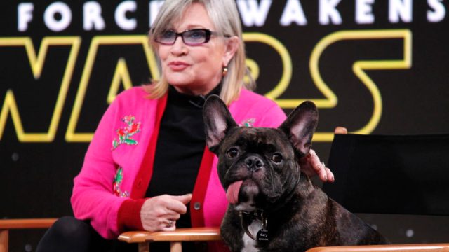 gary fisher carrie fisher