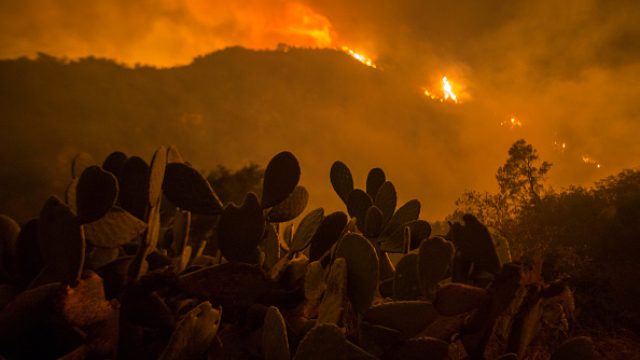 Thomas Fire latest