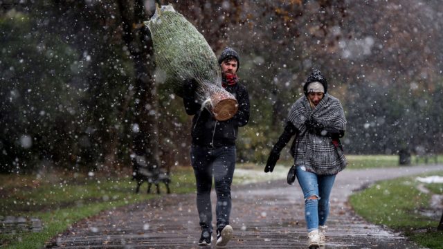 LONDON, UNITED KINGDOM - DECEMBER 10: A man carries a recently purchased Christmas tree through Brockwell Park as it snows on December 10, 2017 in London, United Kingdom. Heavy snow has hit many parts of the UK, closing roads and causing flight and rail delays in many areas. Up to 28cm of snow has been recorded by the Met Office across high ground and has issued an Amber warning. (Photo by Chris J Ratcliffe/Getty Images)