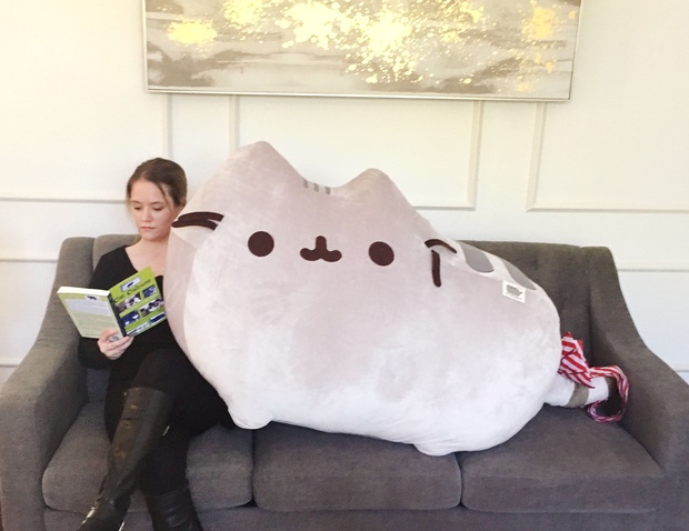 Giant pusheen cheap bean bag