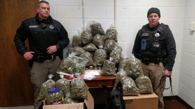 marijuana