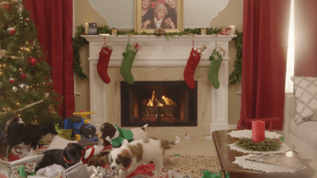 Puppies Crash Christmas