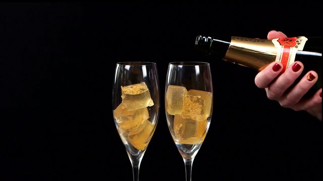 Champagne Gelatin Shots