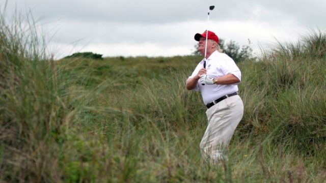 Picture of Donald Trump Golfing