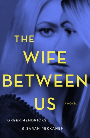 picture-of-the-wife-between-us-book-photo.jpg