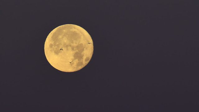 moon