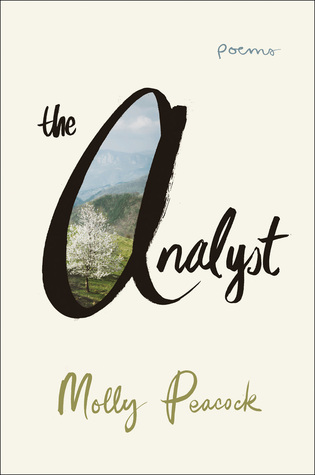 picture-of-the-analyst-poems-book-photo.jpg