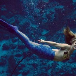 Picture of Weeki Wachee Springs Mermaid