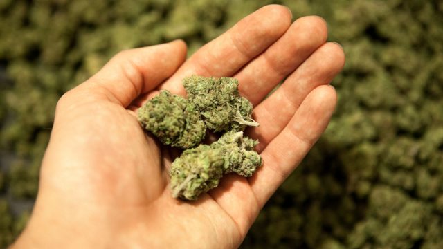 marijuana