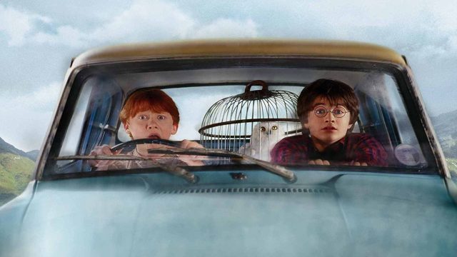 Photo of Ron Weasley and Harry Potter in "The Chamber of Secrets"