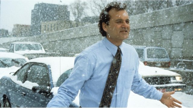 Picture of Groundhog Day Snow
