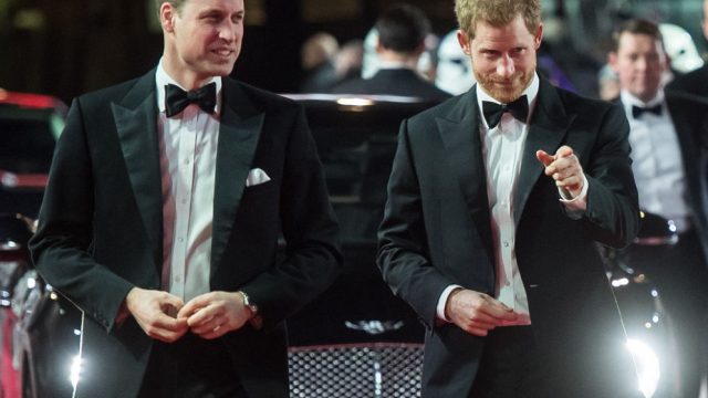 prince-harry-prince-william-together