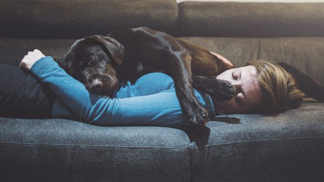 Photo of Dog Asleep on Sleeping Woman