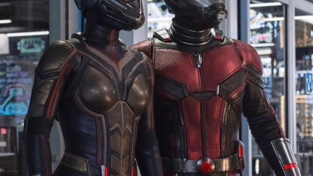 Picture of The Wasp Costume