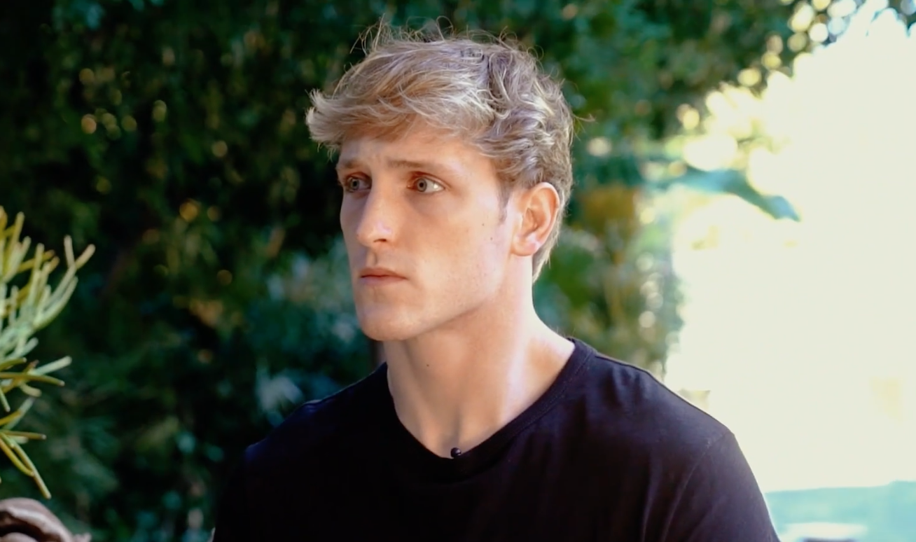 Logan chitwood. Логан Паулс. Logan Paul Haircut. Логан пол фильмография. Прическа как у Logan Paul.