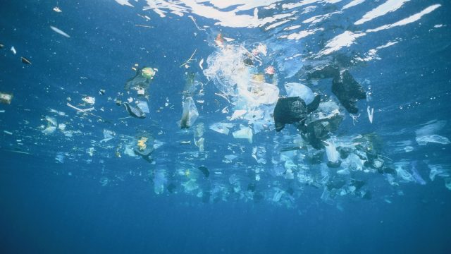Photo of Plastic Garbage Swimming on the Water Surface