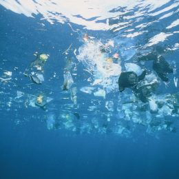 Photo of Plastic Garbage Swimming on the Water Surface