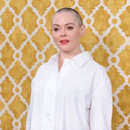 Picture of Rose McGowan Plastic Surgery